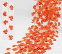 ������ ������� ����� 2.4 ����� ��� ������, ���������� ����� 2 ����� ����