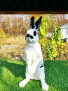 �������. ����