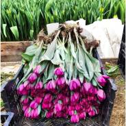 ��������. ��� ����� �� ������ ����