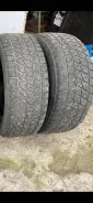Bridgestone DriveGuard Winter. ������, ��� �����, 2017 ���, �/�, ����� 40 % ����