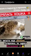 �����. ����