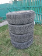 Triangle PS01. ������, ����������, �/�, ����� 30 % ����