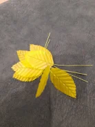 ������� ��� ������������ ������ ����