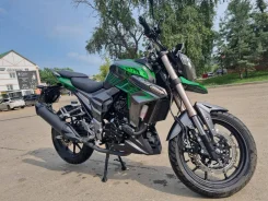 Regulmoto T-Leopard 300. 300����. ��., ��������, ���������, ������ �� �� ����
