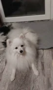 ����������� ����. ����