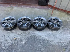 Raguna M's STALLION. x15" ����