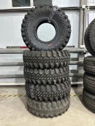CST. ����� at, 2021 ���, ����� ����