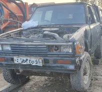 Nissan Datsun ����