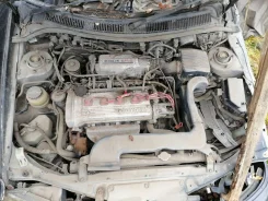 Toyota Cynos ����