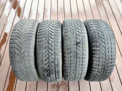 Bridgestone Winter Radial WT-17. ������, ����������, �/�, ����� 50 % ����