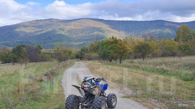 Yamaha Raptor 250. ��������, ��, �� ����