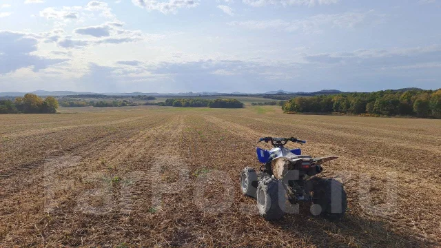Yamaha Raptor 250. ��������, ��, �� ����
