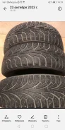 Nordman 7. ������, ��� �����, �/�, ����� 40 % ����