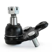 ����� �������. Absel, ������� HN336029. �������� � ������ � ����������� - ���� �������� �������� � ���������. Absel ���. hn336029 HN336029 ����