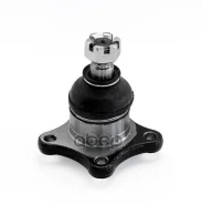 ����� �������. Absel, ������� MT336002. �������� � ������ � ��������� � �����������. Absel ���. mt336002 MT336002 ����