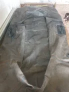 ������. 2019 ���, ����� 2,5��., ��������� ��� ��������� ����