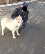 �����. ����