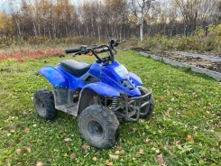 Avantis ATV Classic 6. ��������, ��� ���\���, �� ����