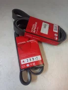 ������ ������������ 8PK1538 8PK1538 ����