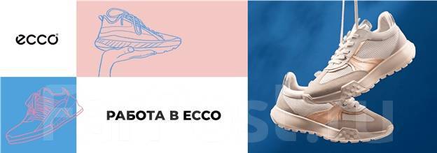 Руководитель розничной сети ECCO во Владивостоке, работа в ИП Ледовских ...