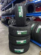 Foman Frozenero. ������, ��� �����, 2023 ���, ����� ����
