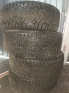 Nokian Hakkapeliitta 09. ������, ����������, 2019 ���, �/�, ����� 10 % ����
