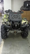 Yamaha Grizzly 700. ��������, ���� ���\���, � �������� ����