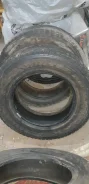 Bridgestone Winter Dueler DM-Z2. ������, ��� �����, �/�, ����� 40 % ����
