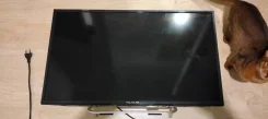 Polar. LCD (��) ����