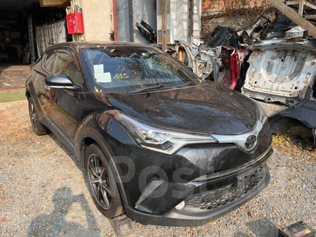 Toyota C-HR. NGX50, 8NR ����