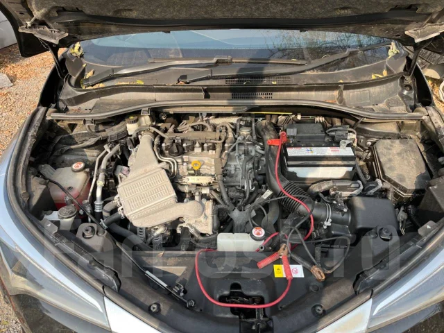 Toyota C-HR. NGX50, 8NR ����