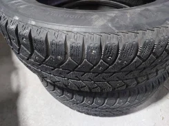 Bridgestone Sneaker. ������, ����������, �/�, ����� 20 % ����