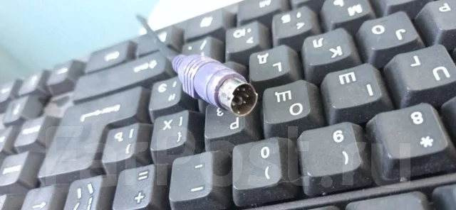 ����������. ����