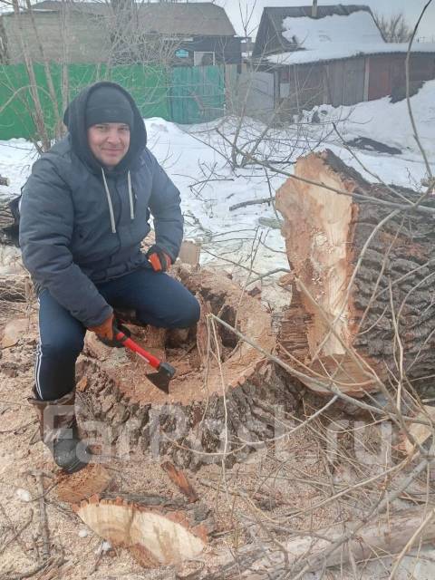 КАК ВЫКОРЧЕВАТЬ СТАРЫЙ КУСТ ИЛИ ДЕРЕВО БЕЗ ЛИШНИХ УСИЛИЙ? Советы биолога, разбор основных ошибок