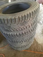 Nordman 5. ������, �/�, ����� 40 % ����