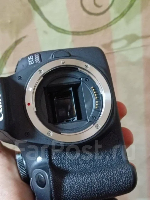 Canon EOS 2000D. 20 � ����� ��, ���: ��� ���� ����