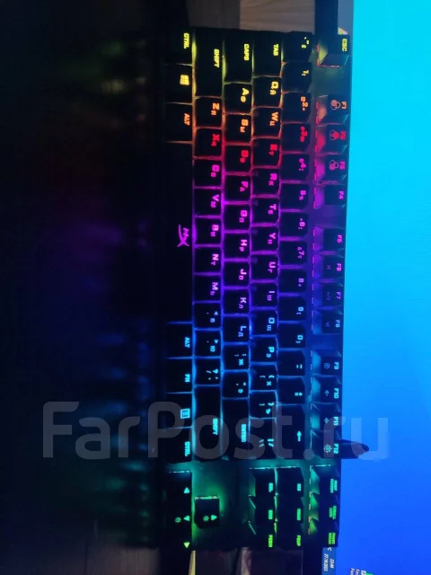 ����������. ����