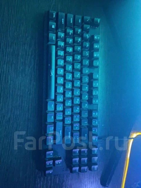 ����������. ����