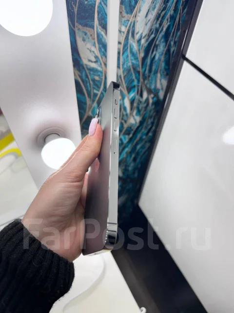 Apple iPhone 13 Pro Max. �/�, 128 ��, ������, 3G, 4G LTE ����