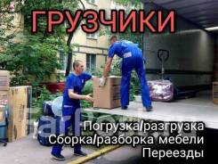 ����� ������. ����