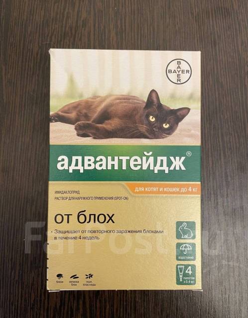 Адвантейдж, от блох, для котят и кошек до 4 кг, 1 пипетка, в наличии. Цена:  550₽ во Владивостоке