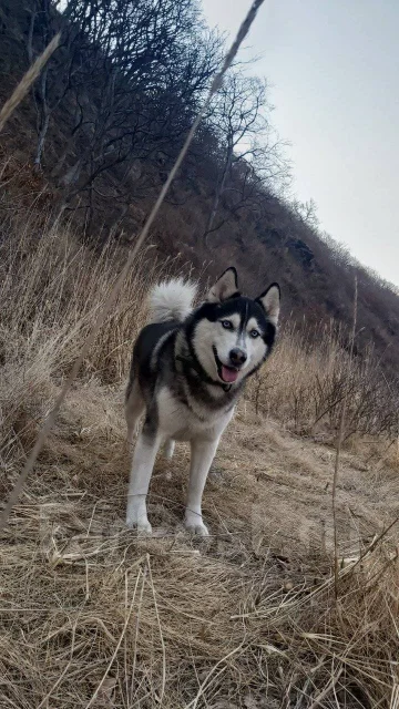 �����. ����