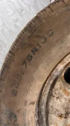 Viatti Vettore Brina. ������, ��� �����, 2020 ���, �/�, ����� 70 % ����