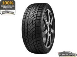 Delinte Winter WD6
