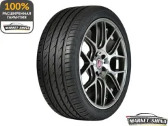 Delinte DH2
