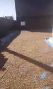 ���� ��������. ����