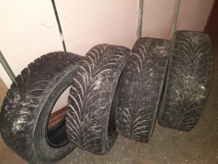 Sava Eskimo Ice. ������, ����������, 2014 ���, �/�, ����� 70 %. �������� ������� ����