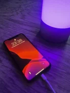 Apple iPhone X. �/�, 64 ��, ������ ����