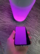 Apple iPhone X. �/�, 64 ��, ����������� ����