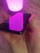 Apple iPhone X. �/�, 64 ��, ������ ����
